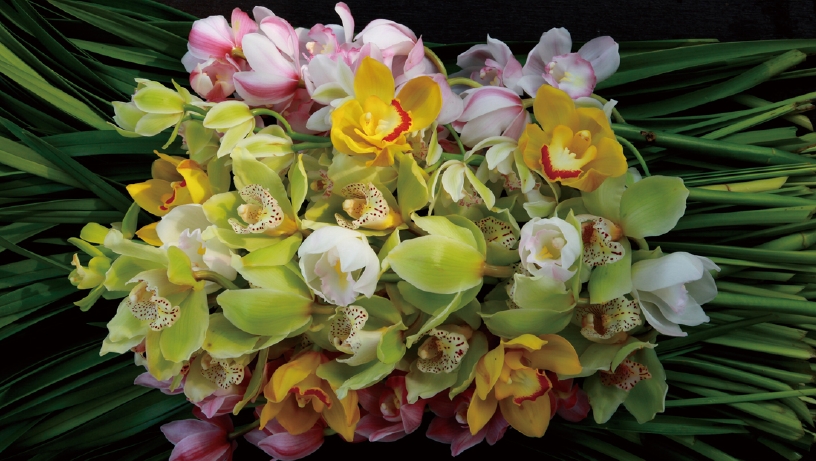 0 image34.jpg