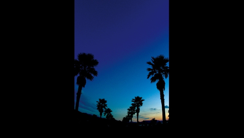 0 image32.jpg
